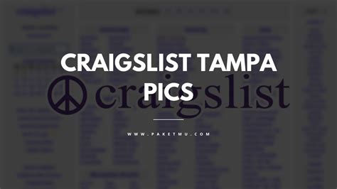 tampa bay craigslist